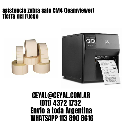 asistencia zebra sato CM4 (teamviewer)  Tierra del Fuego