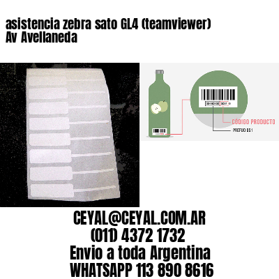 asistencia zebra sato GL4 (teamviewer)  Av Avellaneda