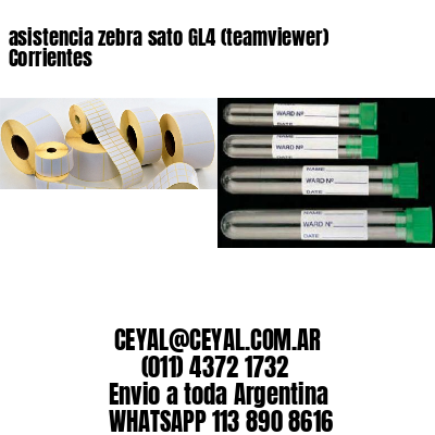 asistencia zebra sato GL4 (teamviewer)  Corrientes