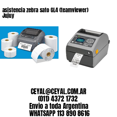asistencia zebra sato GL4 (teamviewer)  Jujuy