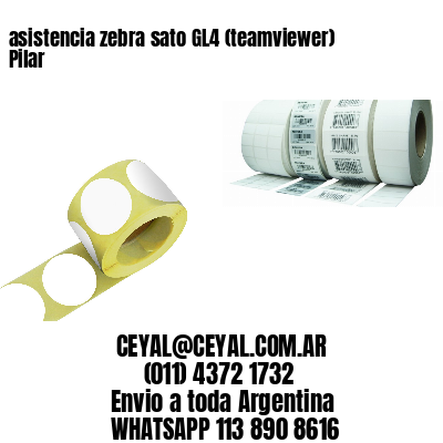 asistencia zebra sato GL4 (teamviewer)  Pilar