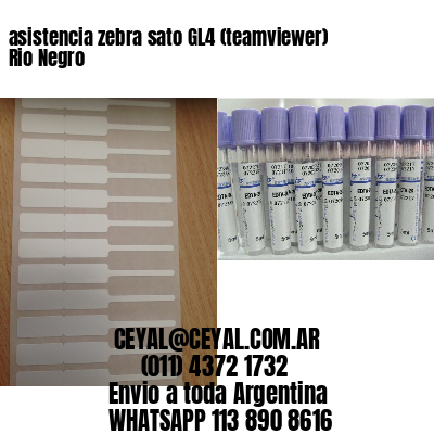 asistencia zebra sato GL4 (teamviewer)  Rio Negro