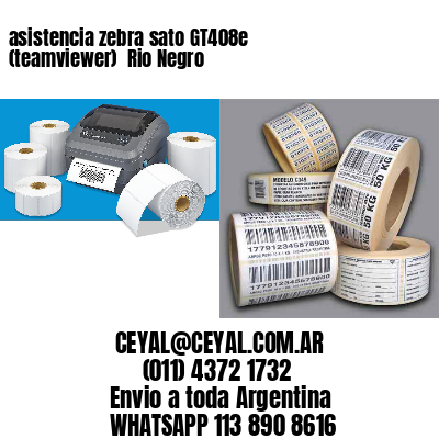 asistencia zebra sato GT408e (teamviewer)  Rio Negro