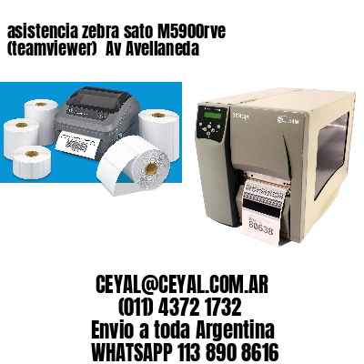 asistencia zebra sato M5900rve (teamviewer)  Av Avellaneda