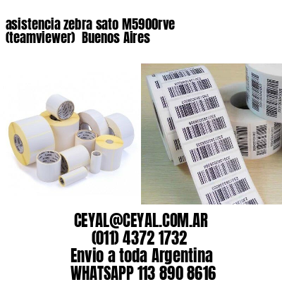 asistencia zebra sato M5900rve (teamviewer)  Buenos Aires