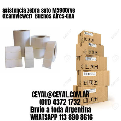asistencia zebra sato M5900rve (teamviewer)  Buenos Aires-GBA