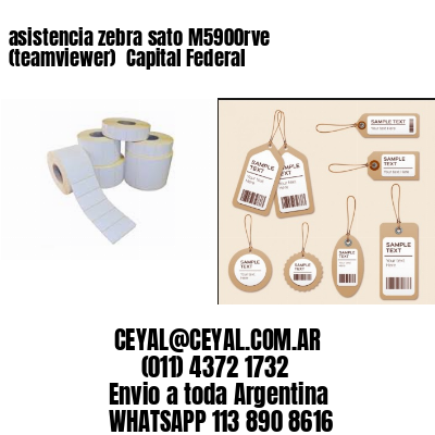 asistencia zebra sato M5900rve (teamviewer)  Capital Federal