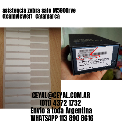 asistencia zebra sato M5900rve (teamviewer)  Catamarca