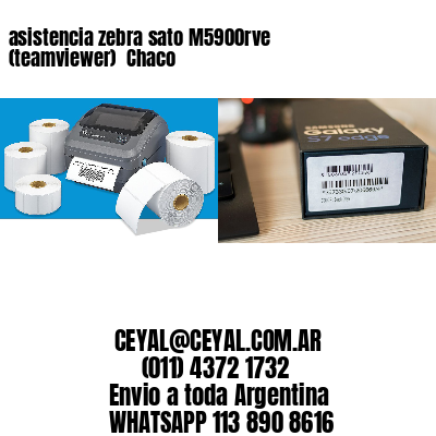 asistencia zebra sato M5900rve (teamviewer)  Chaco