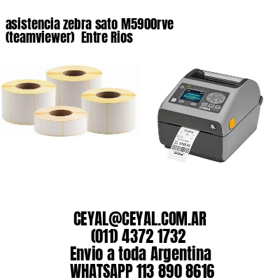 asistencia zebra sato M5900rve (teamviewer)  Entre Rios