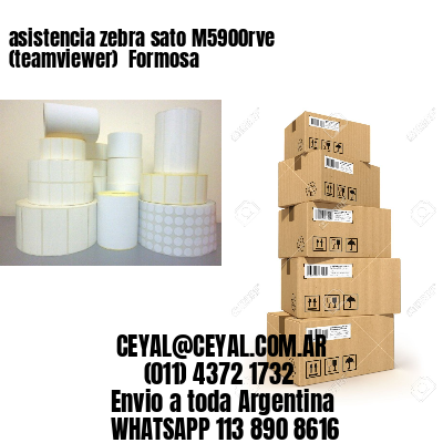 asistencia zebra sato M5900rve (teamviewer)  Formosa