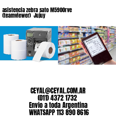 asistencia zebra sato M5900rve (teamviewer)  Jujuy