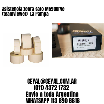 asistencia zebra sato M5900rve (teamviewer)  La Pampa