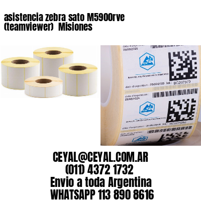 asistencia zebra sato M5900rve (teamviewer)  Misiones