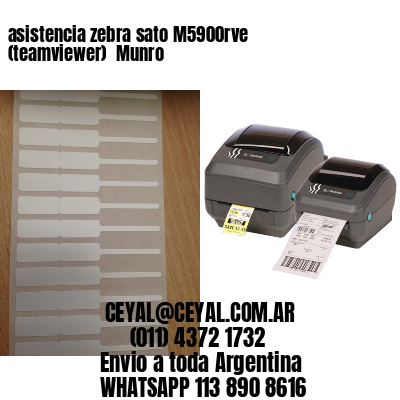 asistencia zebra sato M5900rve (teamviewer)  Munro