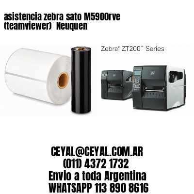 asistencia zebra sato M5900rve (teamviewer)  Neuquen