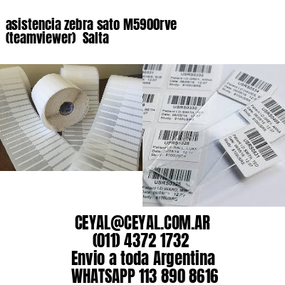 asistencia zebra sato M5900rve (teamviewer)  Salta