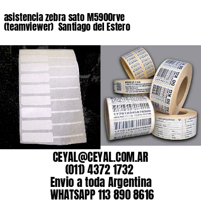 asistencia zebra sato M5900rve (teamviewer)  Santiago del Estero