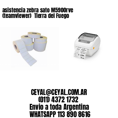 asistencia zebra sato M5900rve (teamviewer)  Tierra del Fuego
