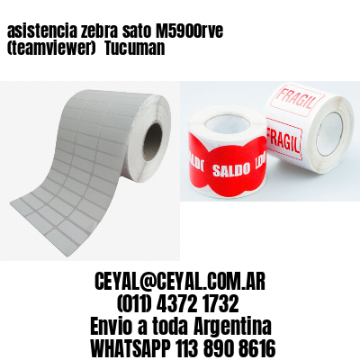 asistencia zebra sato M5900rve (teamviewer)  Tucuman