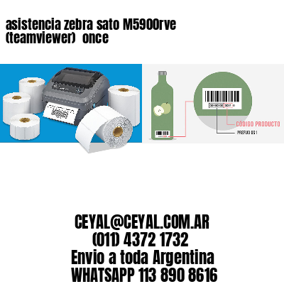 asistencia zebra sato M5900rve (teamviewer)  once