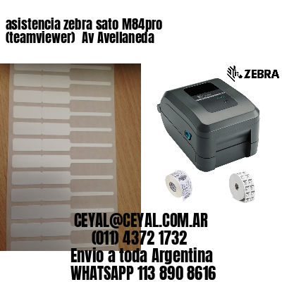 asistencia zebra sato M84pro (teamviewer)  Av Avellaneda