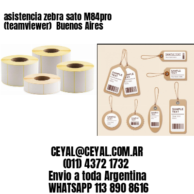 asistencia zebra sato M84pro (teamviewer)  Buenos Aires