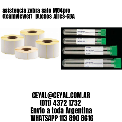 asistencia zebra sato M84pro (teamviewer)  Buenos Aires-GBA