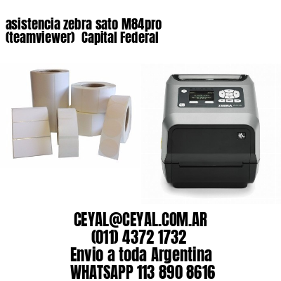 asistencia zebra sato M84pro (teamviewer)  Capital Federal