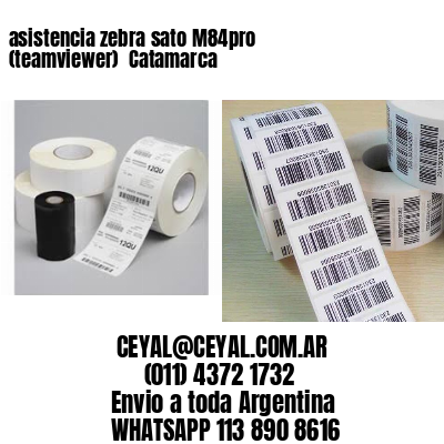 asistencia zebra sato M84pro (teamviewer)  Catamarca