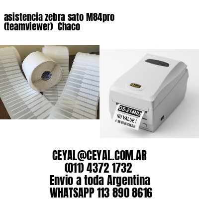 asistencia zebra sato M84pro (teamviewer)  Chaco