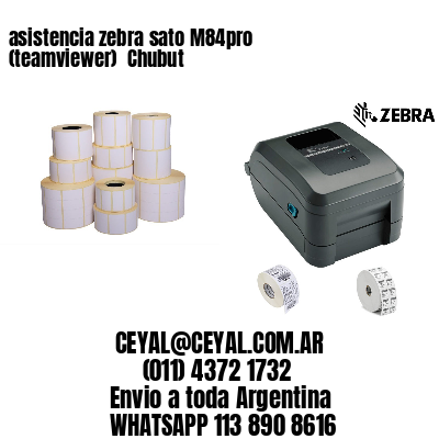 asistencia zebra sato M84pro (teamviewer)  Chubut