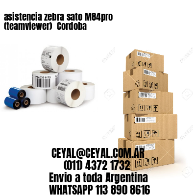 asistencia zebra sato M84pro (teamviewer)  Cordoba
