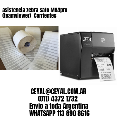 asistencia zebra sato M84pro (teamviewer)  Corrientes