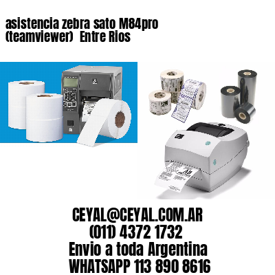 asistencia zebra sato M84pro (teamviewer)  Entre Rios