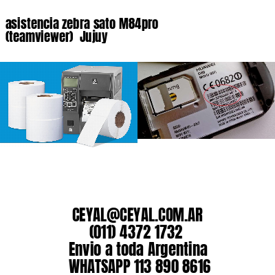 asistencia zebra sato M84pro (teamviewer)  Jujuy