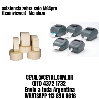 asistencia zebra sato M84pro (teamviewer)  Mendoza