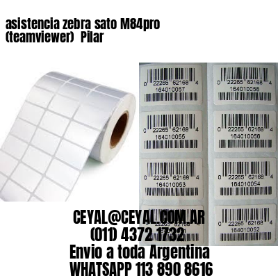asistencia zebra sato M84pro (teamviewer)  Pilar