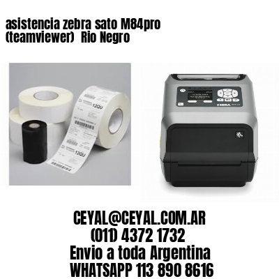 asistencia zebra sato M84pro (teamviewer)  Rio Negro