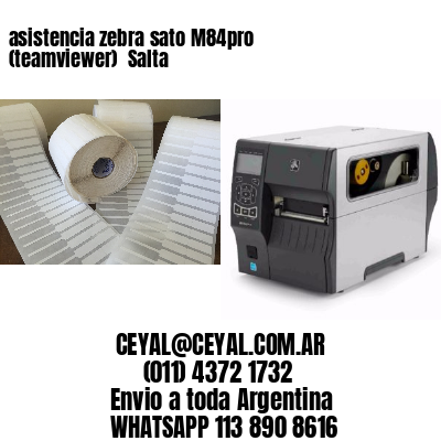 asistencia zebra sato M84pro (teamviewer)  Salta