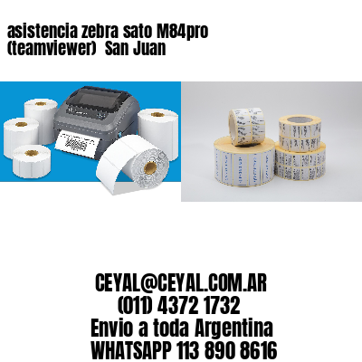 asistencia zebra sato M84pro (teamviewer)  San Juan