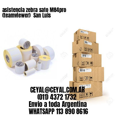 asistencia zebra sato M84pro (teamviewer)  San Luis