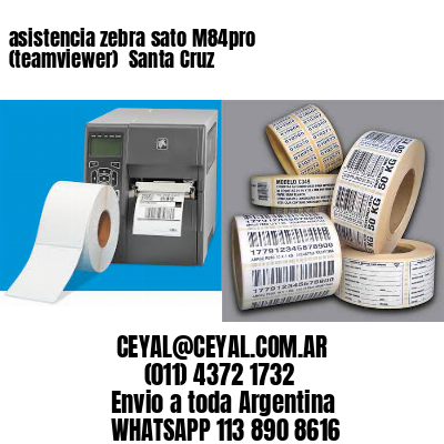 asistencia zebra sato M84pro (teamviewer)  Santa Cruz