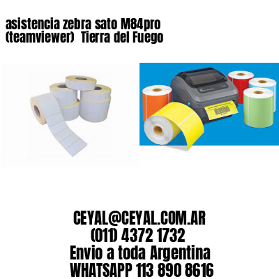 asistencia zebra sato M84pro (teamviewer)  Tierra del Fuego