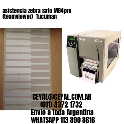 asistencia zebra sato M84pro (teamviewer)  Tucuman