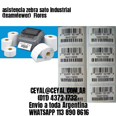 asistencia zebra sato industrial (teamviewer)  Flores