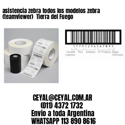 asistencia zebra todos los modelos zebra (teamviewer)  Tierra del Fuego