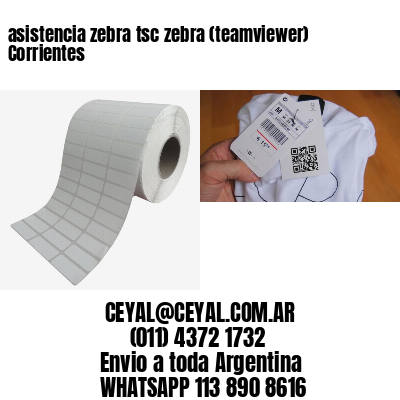 asistencia zebra tsc zebra (teamviewer)  Corrientes