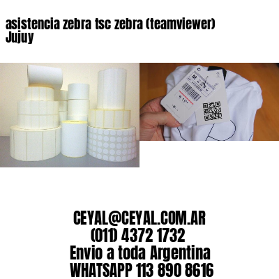 asistencia zebra tsc zebra (teamviewer)  Jujuy