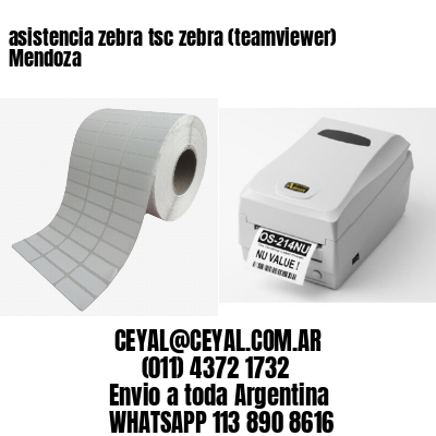 asistencia zebra tsc zebra (teamviewer)  Mendoza